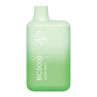 Elf Bar 5000 Puff Disposable Vape (Miami Mint)