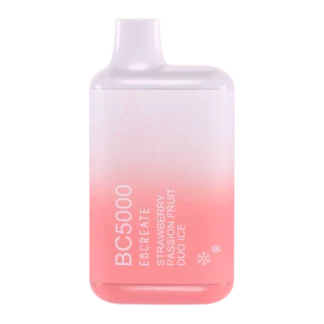 Elf Bar 5000 Puff Disposable Vape (Strawberry Passion Fruit Duo Ice)