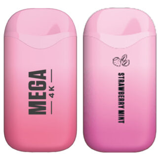 Mega 4K Disposable Pod Device 4000 Puffs (Strawberry Mint)