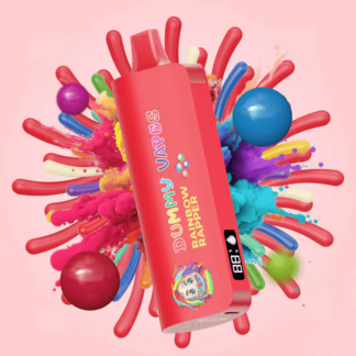 Dummy Vapes 8000 Puff Disposable Vape (Rainbow Rapper)